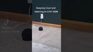 Keeping Cool and Listening to Chill VGM