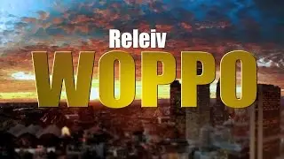Releiv - Woppo (Original Mix)