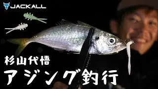 【アジング】秋のアジング釣行 ジャッカルアイテム実釣解説 / 杉山代悟