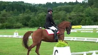 Philip Blindhofer - Gidran II - L - Feldbach 1-3.9.2017