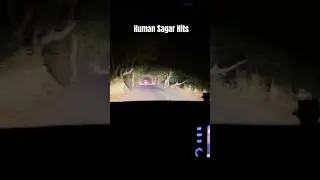 Human Sagar hits #song #humansagar #trending #viral #shorts #reels #night #travel #ride #creta #car