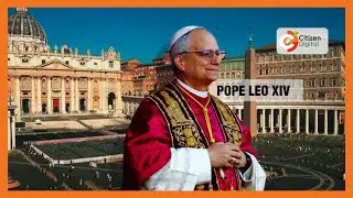 Pope Leo XIV (Cardinal Robert Francis Prevost is the new pope)