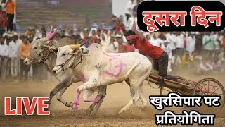 दूसरा दिनLive khursipaar Pat 👫 खुरसिपार पट प्रतियोगिता Live ❤ Ox Race ✌Pat Pratiyogita video 🙋 Ox