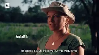 Wetlands: The Hotspots of Biodiversity  | WWF-DCP