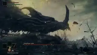 Flying Dragon of Agheel: No horse