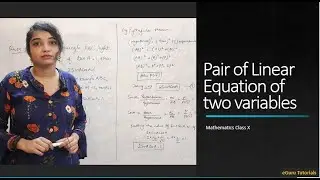 Pair of Linear Equation | Mathematics