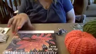 Nana.s Livecrafting Stream