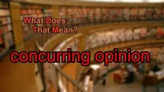 What does concurring opinion mean?