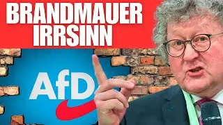 Patzelt packt aus: Wollen sie Wahlen abschaffen? Das Ende der Brandmauer! 🔥