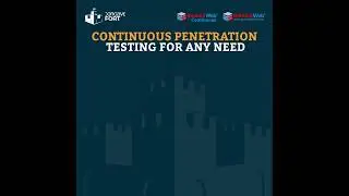 ImmuniWeb® Continuous - Continuous Penetration Testing Made Simple