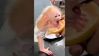 Her First Taste of Love &mdash; and Look at That Baby Smile!
