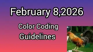 February 8,2026 Color Coding Guidelines 