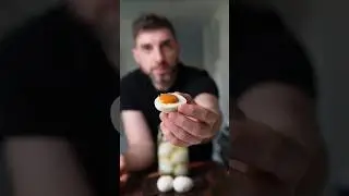 Are Fermented Eggs the Secret to a Happy Stomach?
