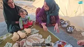 库勒苏姆山里意外发现野南瓜，回家后又上山找羊，这一天太苦了 #伊朗 #山区生活 #游牧生活 #采蜂蜜 #找羊