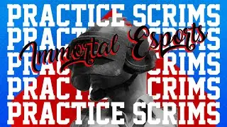 | HINDI | 2TxIMMORTALS | IMMORTAL ESPORTS