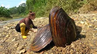 The pearls in clams are mature, large, round, and bright