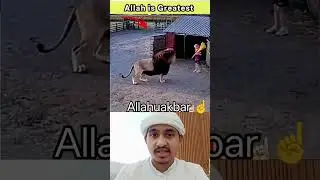 miracle of Allah ☝️💚 #allah #miracleofallah #prayer #reels #trending #mashallah #رحمة_الله #shorts