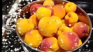 🍑 MILLIONS OF PEACHES! PEACHES 4 FREE! EASY PRESERVES IN THE FREEZER! 
