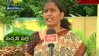 Odyaram Village Becomes A Model Village For Joint at Karimnagar District | ETV Story