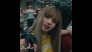 🎶 