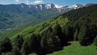 Pelister National Park - Bitola - Macedonia