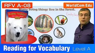 Learn English | Reading for Vocabulary | Level A | Lesson 08 |  Brian Stuart  (미국교과서) (영어 강의)