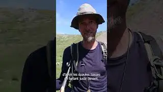 Les conseils du berger face au patou