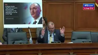 Rep. Blasts FBI FISA Abuses: 