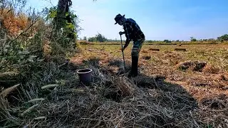 หาขุดตามทุ่งนาอะไรที่อยู่ในรูเอาหมด