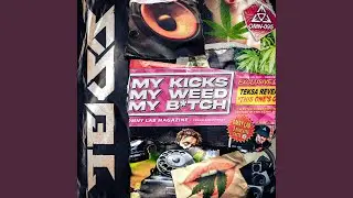My Kicks, My Weed, My Bitch