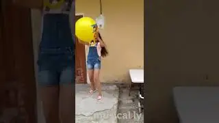 5 noiembrie 2017
