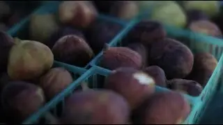 What to look for when buying fresh figs