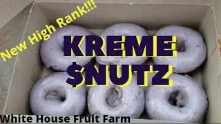 White House Blueberry Donuts.