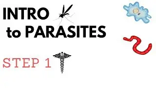 Step 1 Parasites- Full List & Overview | Protozoans & Metazoan Trematodes, Cestodes & Nematodes