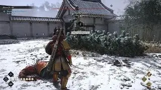 Assassin's Creed Shadows Imagawa Tomeji