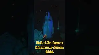 Hall of Shadows at Midsummer Scream 2024 #hallofshadows #midsummerscream #2024 #spooky #scary