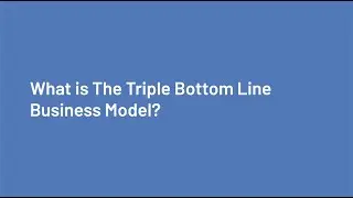 The Triple Bottom Line Business Model