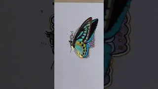 Butterfly Drawing | Easy Drawing | #shorts @ParadiseHome.