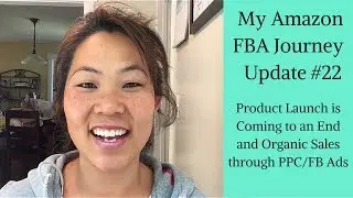 Update #22 - My Amazon FBA Journey - Product Launch Coming to an End and Organic Sales