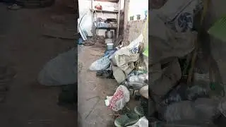 Мене чуть не впіймали собаки