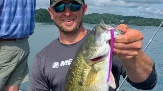 My Top 3 Colors & Ways to Rig Straight Tail Worm for Bass Fishing - ZMan Longshotz