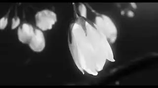 Holding Absence ft. Alpha Wolf - Aching Longing (Slowed + Reverb)