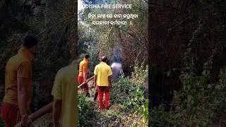 QUICK SERVICE BY FIRE DEPARTMENT// ODISHA FIRE SERVICE 2 MINUTES RE JAGA UPARE