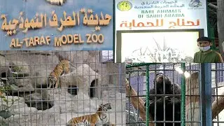 Al Taraf Model Zoo, Al Ahsa, Saudi Arabia I Rare Animals Of Saudi Arabia I Exploring Zoo Park I Vlog