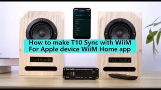 How to make T10 Sync with WiiM - For Apple device WiiM Home app