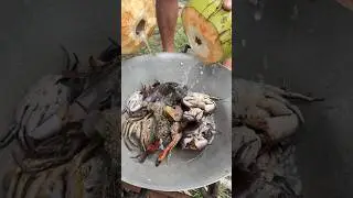 Cooking Crab in Coconut Water & Yogurt! 🤯
