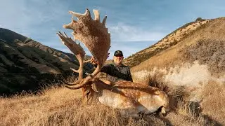 Venator New Zealand |  Scott Hunts a World-Class Fallow Buck!