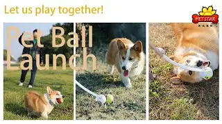 Unveiling Our Latest Innovation: The Dog Ball Launcher!