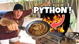 PAN FRIED PYTHON ! Catch & Cook !