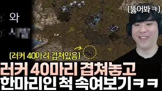러커 40마리를 한 마리 인척 겹쳐 놓고 상대를 속여봤습니다ㅋㅋ